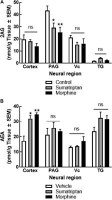 DAGLα Inhibition as a Non-invasive and Translational Model of Episodic Headache